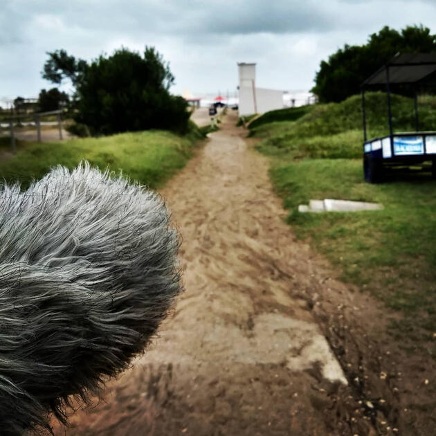 Sonido ambiente en Mar del plata Sonido ambiente en Mar del plata